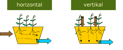 Grafik Unterschied horizontale und vertikale Pflanzenkläranlage