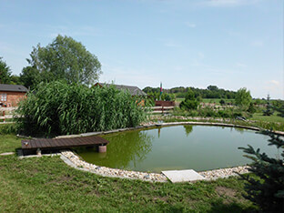 swimming pond