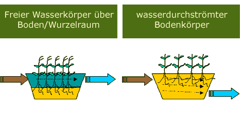 Grafik zur Wasserführung von Pflanzenkläranlagen
