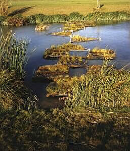 Schwimmkampen Schwimmkampen